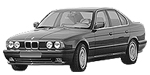 BMW E34 P1240 Fault Code